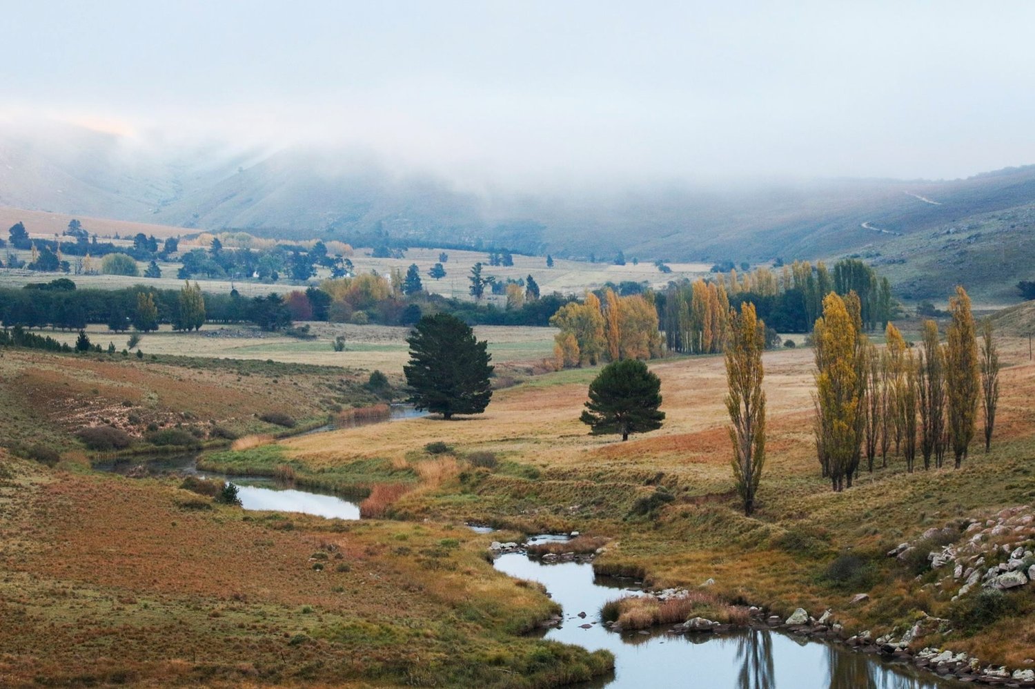 Rising Ground Family Farm, Hogsback Eastern Cape South Africa — organic, regenerative farming and hospitality.